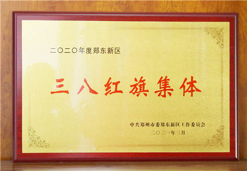 2020年度郑东新区三八红旗集体